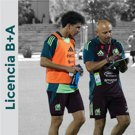 Licencia B+A