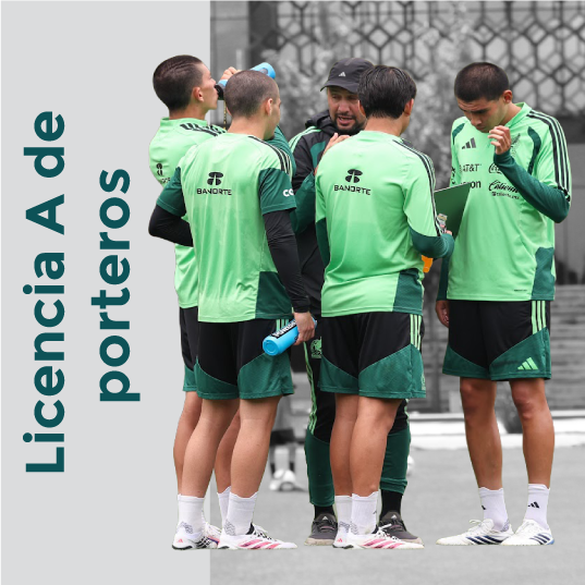 Licencia A Porteros