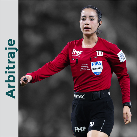 Arbitraje