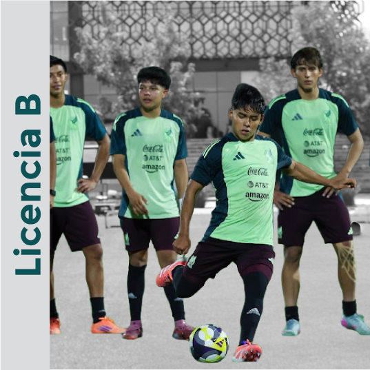 Licencia B