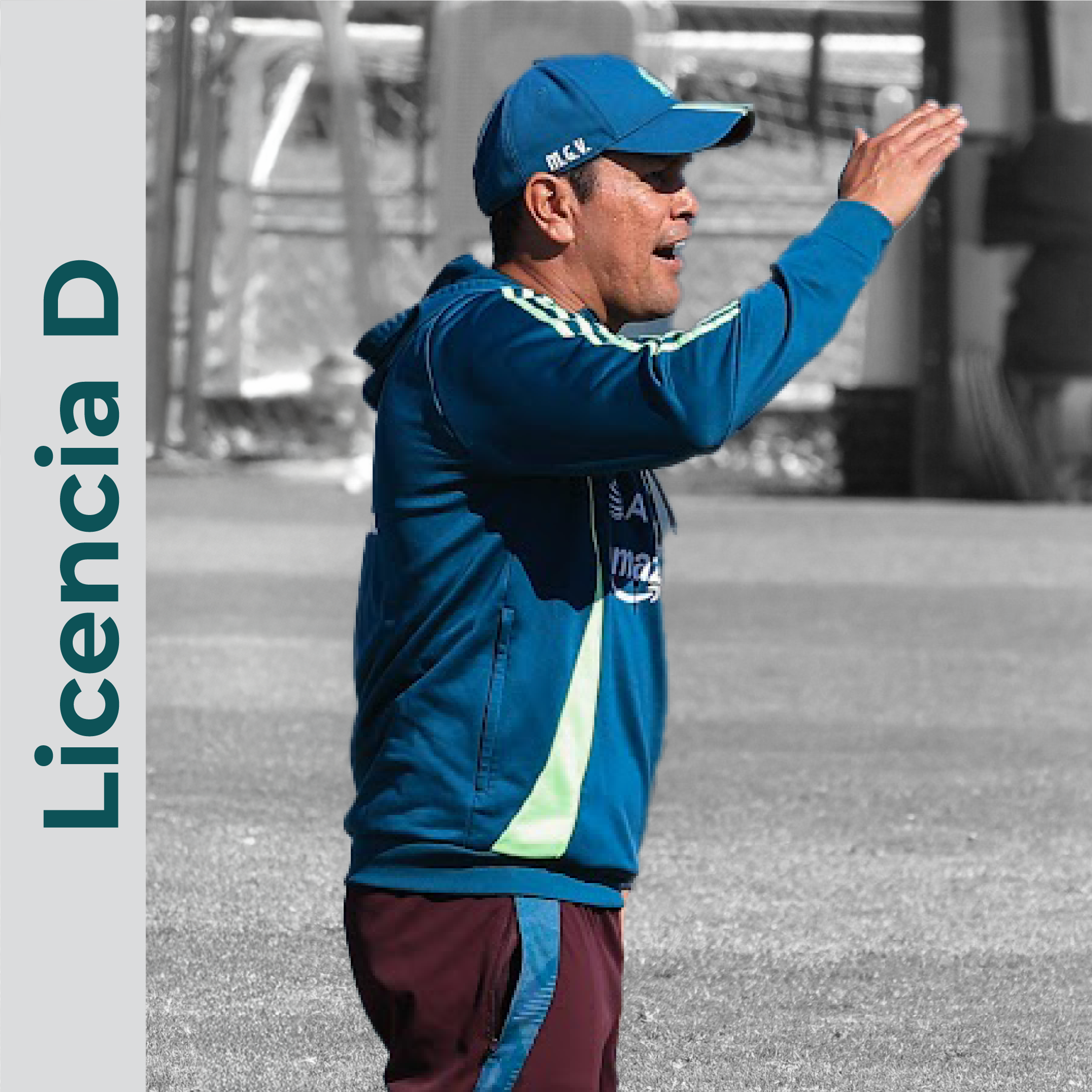 Licencia D
