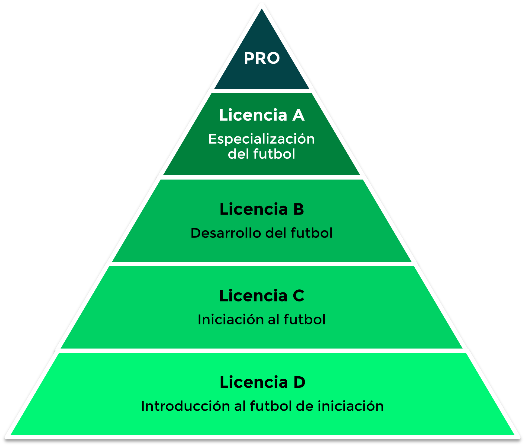 Pirámide Jugamos Todos